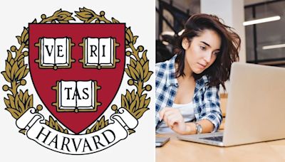 Cinco cursos de Harvard para aprender sobre inteligencia artificial y tener un mejor trabajo