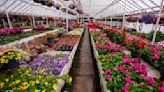 Petersen & Tietz Florists and Greenhouses to celebrate 90th anniversary this weekend