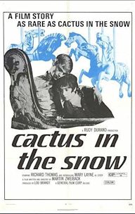 Cactus in the Snow