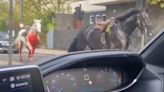 Horses covered in blood on the loose in London as soldier injured