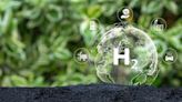 Colombia inauguró su oficina H2-Diplo para impulsar el hidrógeno verde