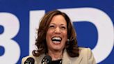 From ‘brat’ to ‘coconut tree’: How Kamala Harris is in the middle of a meme storm