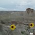 Dinosaur Provincial Park