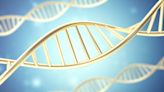 bluebird's (BLUE) Gene Therapy Gets FDA Nod for CALD