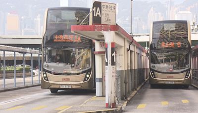 九巴申辦新路線途經九龍多個景點 區議員憂班次疏影響旅客體驗