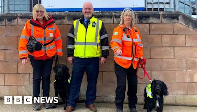 Isle of Wight search and rescue team recruits two new dogs