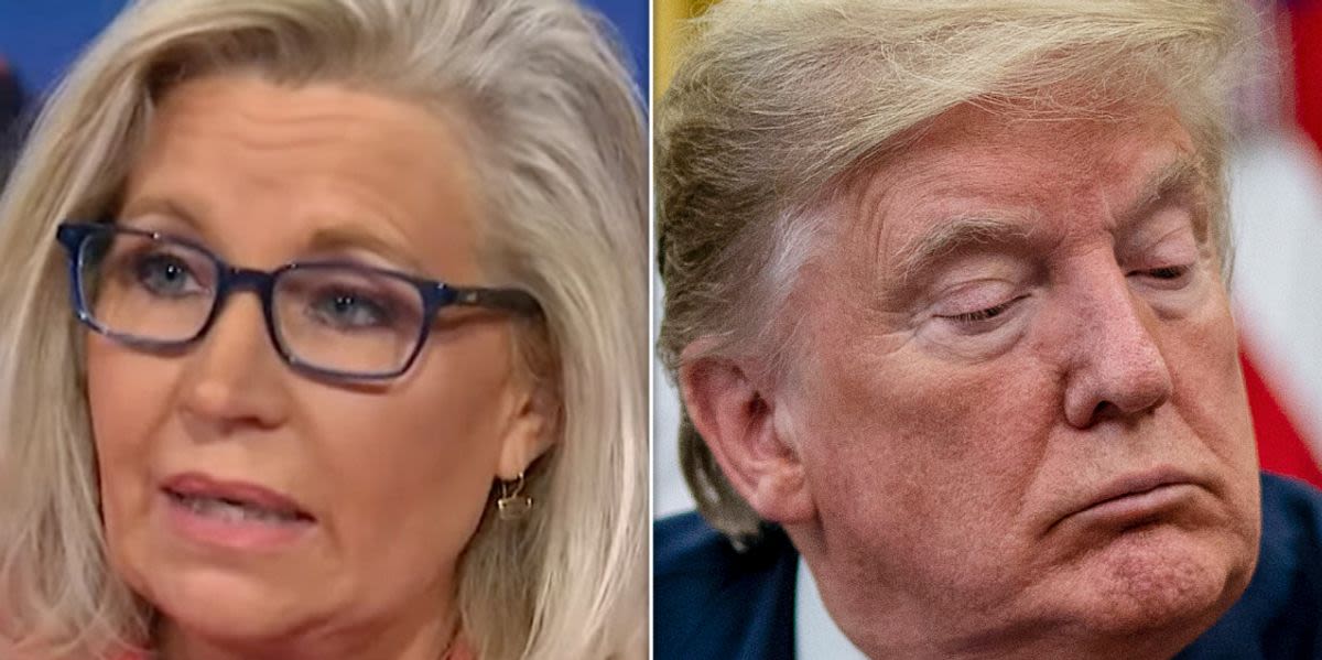 'Not Fit For Office': Liz Cheney Fires Back At Trump's Brazen 'Treason' Meme