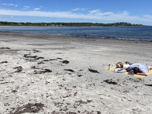 Officials confirm shark sightings off Scarborough coast to be great white