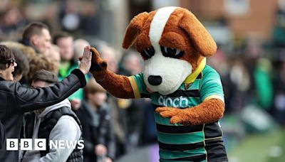 Northampton Saints looking for new Bernie the Dog mascot