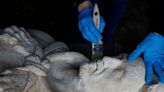 Las obras del alcantarillado romano revelan la estatua de un emperador vestido como Hércules