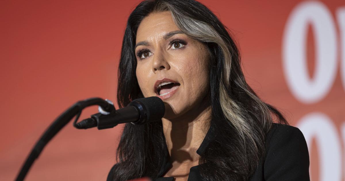 Hawaii lawmakers demand TSA explanation for Tulsi Gabbard's inclusion on terrorist watchlist