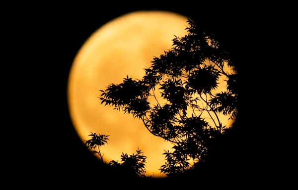 Next full harvest moon also a supermoon, partial lunar eclipse. When to see Tuesday night