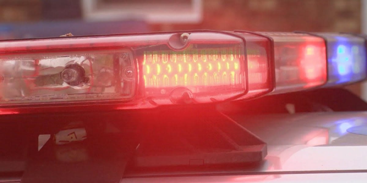 Tree falls on Bradenton home