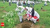 Uneven Green Cover in Delhi: Experts Question Plantation Plan | Delhi News - Times of India