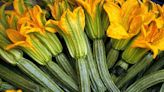 3 recetas con Flor de Calabaza, deliciosas y con grandes beneficios a tu salud