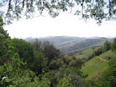 Monte Bello Open Space Preserve