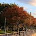 Hudson River Park