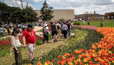 See photos as the 95th Tulip Time Festival kicks off in Holland