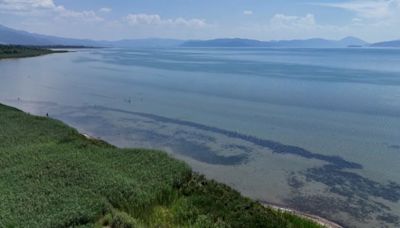 Balkan nations create committee to protect shared endangered lake
