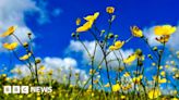 Northern Ireland weather: Warmest May on record