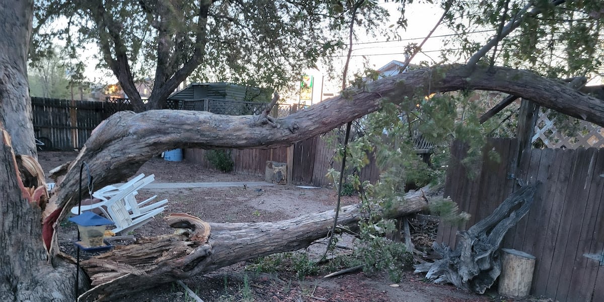 WATCH LIVE: City of Colorado Springs provides update on wind damage