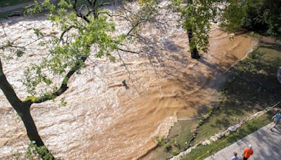 Greenville is known for its lush trees. Hurricane Helene turned them into weapons.