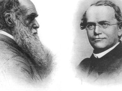 Cómo Gregor Mendel sentó las bases de la genética moderna y complementó sin saberlo la teoría de Charles Darwin sobre la evolución