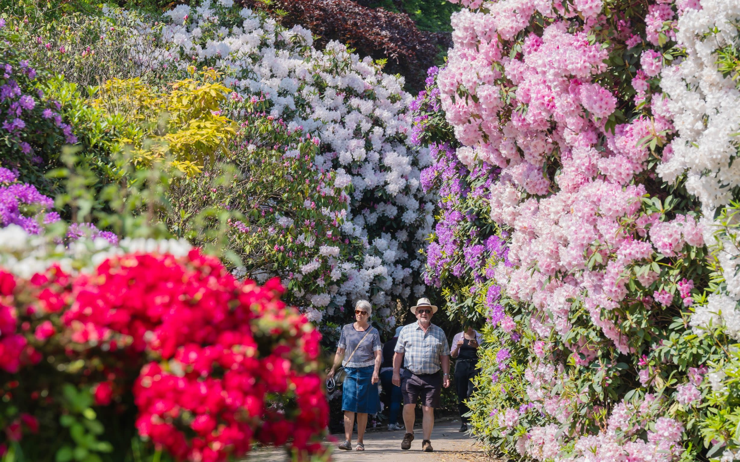 UK’s soggy spring was also the warmest in 140 years