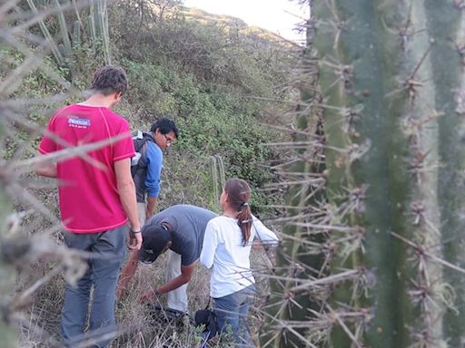 Investigadores de la UCM desarrollan un proyecto de restauración ecológica en bosques amenazados de Perú