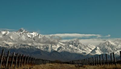 Vacaciones de invierno: las propuestas de las bodegas en la Ruta del Vino de Mendoza