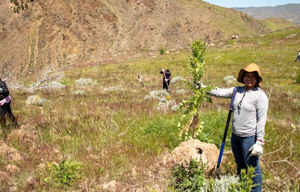 Friends of Nevada Wilderness relies on eco-friendly volunteers