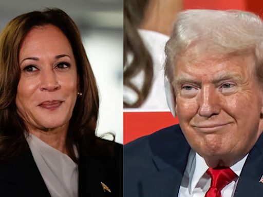 Kamala v Don pits Hollywood hawties v Silicon Valley Bros? - Times of India