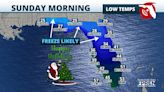 Freezing temperatures forecast across much of Florida for holiday weekend