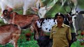 Four Hindu activists arrested in India for killing cows to try and frame Muslims
