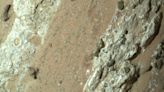 Scientists urge caution about mystery Mars rock found by NASA rover