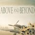 Above and Beyond (2014 film)