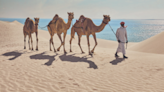 The natural side of Qatar, where the inland sea meets the sand dunes