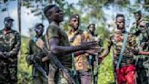 UN envoy warns Congo's M23 rebels are acting like an army
