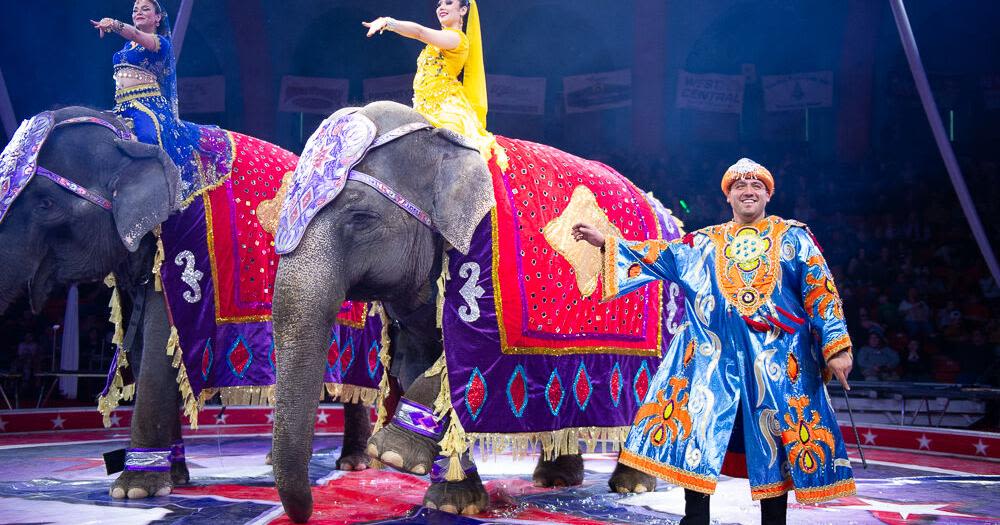 'It's a dream come true': Shrine Extreme Circus comes to the Chippewa Valley