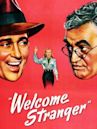 Welcome Stranger (1947 film)