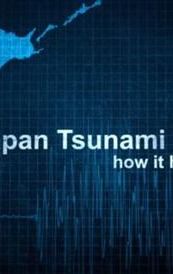 Japan Tsunami: How It Happened