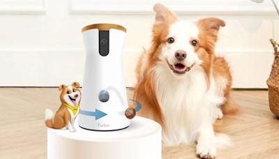 Amazon Pet Day deal: Save 30% on a Furbo 360° smart dog camera