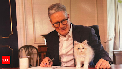 PM Keir Starmer introduces 'Prince', new Siberian kitten to Downing Street - Times of India