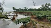 Flood damages roads in Bengal's Alipurduar district, Central Dooars tea estate cut off