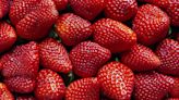 Where to go strawberry picking in Illinois this season