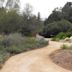 California Botanic Garden