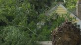 Storms topple trees, power lines in Anchorage area