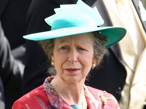 Princess Anne Experiencing Memory Loss Following Concussion