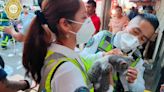 Rescatan a un gato del incendio en Tepito