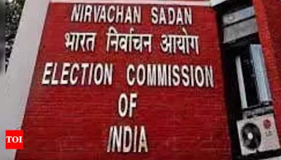 Election Commission allows NCP-SP to accept voluntary contributions from public ahead of Maharashtra assembly elections | India News - Times of India